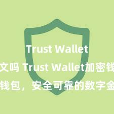 Trust Wallet支持中文吗 Trust Wallet加密钱包，安全可靠的数字金钱科罚器具